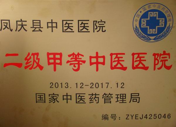 凤庆县中医医院被评为二级甲等中医医院(图1)