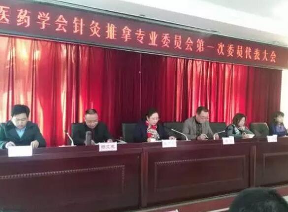 临沧市中医药学会针灸推拿专业委员会成立大会暨第一次会员代表大会在临沧顺利召开(图3)