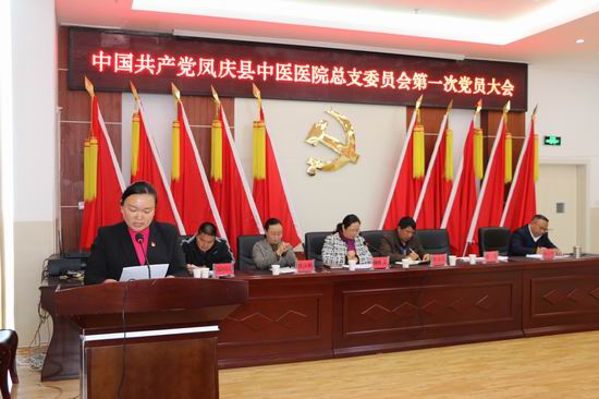 中国共产党凤庆县中医医院总支部委员会召开第一次党员大会(图6)