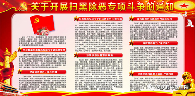 凤庆县中医医院党总支开展第一季度主题党日活动(图4)